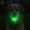 Glow in the Dark Glitter Ball 2-Pack Dog Toy | Soft PUP-X Rubber Floating Fetch Ball with Treat Dispenser | USA Made